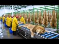 Lion Leather Factory Inside — How Million-Dollar Items Are Made (SECRET REVEALED)