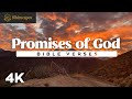 The Promises of God // Bible Verses for Rest, Reflection, and Reassurance