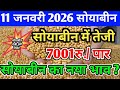 सोयाबीन भाव 11 जनवरी 2026 | Soya Plant Bhav | Soya Rate Today | Soyabean Ka Bhav | #सोयाबीन