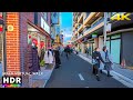Suburban Tokyo Walk in Nishi-Koyama, Japan • 4K HDR