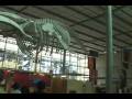 Present! - Tour of the California Academy of Sciences