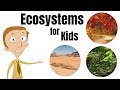 Ecosystems for Kids | Plants, Animals, \u0026 Their Environment