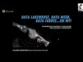 Data Lakehouse, Data Mesh, Data Fabric…Oh my!: Modern Data Architecture