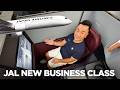 Japan Airlines New Business Class: The Middle Suite ⚠️