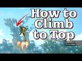 3 Ways to climb giant tree jungle Monster Hunter Rise Sunbreak