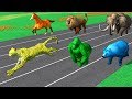 Learn Wild Animals Running Race Video For Kids - Learn Animals Names \u0026 Sounds For Children Toddlers