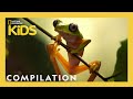 THE FREAKIEST CREATURES! | Frog, Bear, Jellyfish AND MORE! | Nat Geo Kids Compilation | @natgeokids