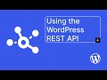 Using the WordPress REST API