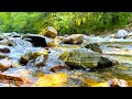 Gentle Sound Of A Mountain River Without Birds. 12 Hours for Sleep, Study and Relaxation.