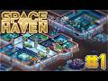 Space Haven – RimWorld Meets FTL Colony Sandbox // Let’s Play Part 1
