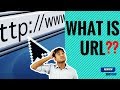 What Is URL in Hindi ? How  It Works?? How URL HELPS?? by Review Sheview