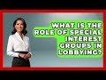 What Is The Role Of Special Interest Groups In Lobbying? - First Time Voter Expert