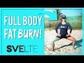 No Weight, FULL BODY Fat Burn (Shed Those Pounds Off the FUN Way)