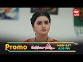 Manasantha Nuvve Latest Promo | Episode No 1266 | 5th February 2026 | ETV Telugu