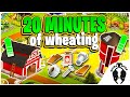 Hay Day-What is Wheating? Harvest Wheat for FREE Upgrade Items!!