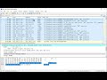 investigating network loops