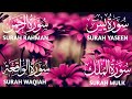 Surah Yaseen ❤️ Surah Rahman ❤️ Surah Mulk ❤️ Surah Waqiah Beautiful Voice ❤️ Heart Soothing