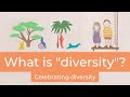 What is diversity? [Diversity for kids]