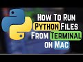 How To Run Python Files From Terminal on Mac