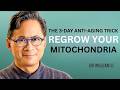 Try It For 3 Days    Most Effective Way To REGROW Mitochondria \u0026 REVERSE AGING! I Dr  William Li