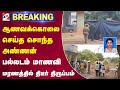 #breaking | ஆணவக்கொலை செய்த சொந்த அண்ணன் - பல்லடம் மாணவி மரணத்தில் திடீர் திருப்பம் | Sathiyam Tv