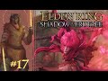 Let's Play Elden Ring: Shadow of the Erdtree Part 17 - Romina, Saint of the Bud