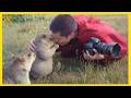 🐾 When Animals Completely Surprised Photographers 😂 | Funniest Animals \u0026 Humans