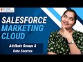 Attribute Groups and Data Sources in SFMC | SFMC Online Tutorial | SFMC Training | CloudFoundation