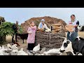 Simple Nomadic Life in Northern Iran – Baking Panjakish Bread, Cooking \u0026 Milking Cows