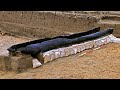 25 Most Amazing Archaeological Finds