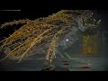Golden Hippopotamus Boss Fight