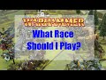 What Race Should I Play? - Warhammer Fantasy Battles 8th Edition