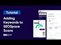 Adding Keywords to SEOSpace Scans (Feature Tutorial)