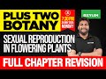 Plus Two Botany | Sexual Reproduction In Flowering Plants - Full Chapter Revision | Xylem Plus Two