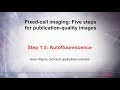 1.5 Autofluorescence–Fixed cell imaging: 5 steps for publication-quality images