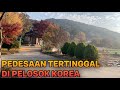 RURAL SOUTH KOREA | WHY IS IT SO QUIET???