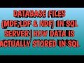DATABASE FILES--MDF,LDF AND NDF IN SQL SERVER | How data is actually stored in sql server