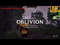 Oblivion Remastered | The Cyrodiilian Beautification Protocol | ➔RESHADE➔ ➔RTX ON➔ -TCBP-