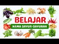 BELAJAR NAMA SAYUR-SAYURAN | MENGENAL NAMA SAYURAN UNTUK ANAK BALITA, PAUD, TK