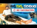 Sad News 😔 | Dog Bite Again Second Time | Livingston Guatemala 🇬🇹 | Uma Telugu Traveller
