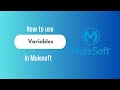 MuleSoft Variables Explained | Set, Use \u0026 Manage Multiple Variables in a Flow | Practical Demo