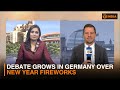 Debate grows in Germany over New Year fireworks