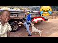 The  Best Of The Internet  (2025 , 2026 ) TRY NOT TO LAUGH CHALLENGE 😂 // FUNNY VIDEOS