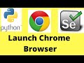 How to launch Chrome browser in Selenium Webdriver Python