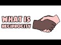 What is Reciprocity | Explained in 2 min
