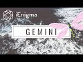 GEMINI: \
