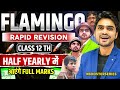 Flamingo One Shot Revision | Class 12 English | Summary \u0026 Q/A | Booster Series | Half Yearly 2025-26