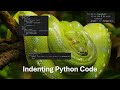 Indentation in Python - Yes, Whitespace Matters!