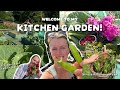 Starting My Kitchen Garden from Scratch | Tour \u0026 Intro