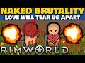 Rimworld | One Single Colonist Starting with Nothing on Cassandra Classic Merciless | Vanilla Part 4